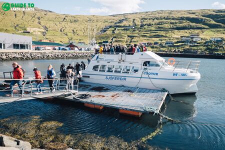 Vestmanna Sea Cliffs boat tour