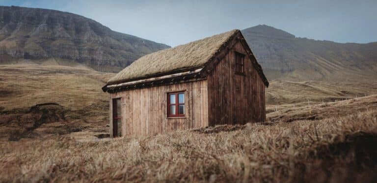 Cabin with sod-roof