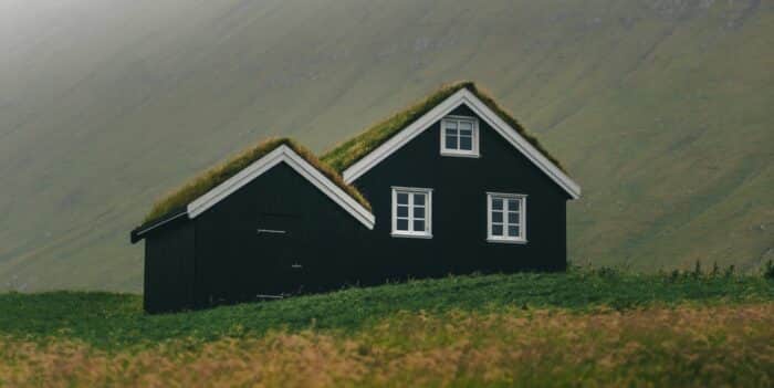 Sod-roofed house in nature
