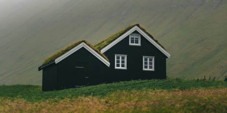 Sod-roofed house in nature