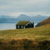 Grass roofed house