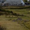 Hotel Hilton Faroe Islands in Tórshavn