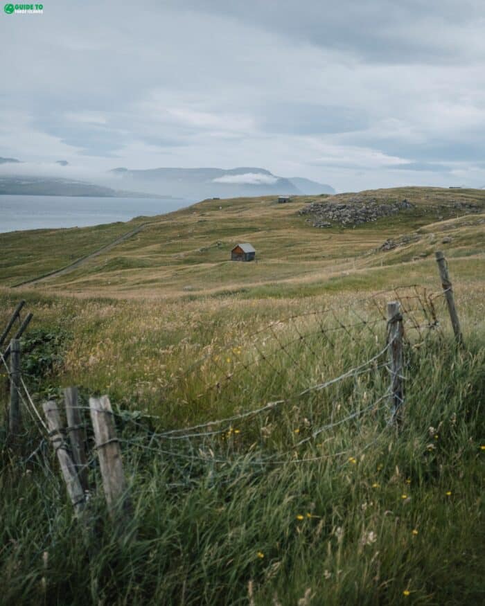 Nólsoy grass field