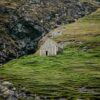 Shed on grassy hill