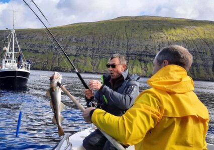 Man catching cod on boat