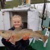 kid cod Faroe Islands