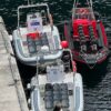 Puffin and boats