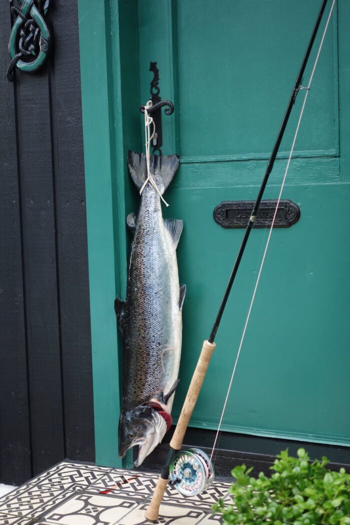 Salmon hanging on door next to a rod