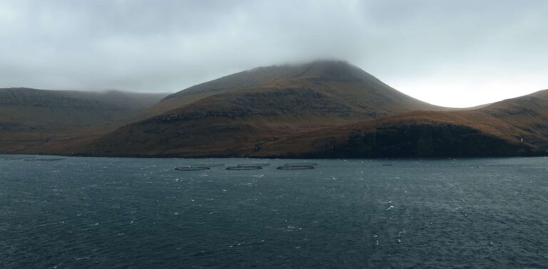 Salmon pens in fjord