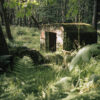 Bunker in plantage