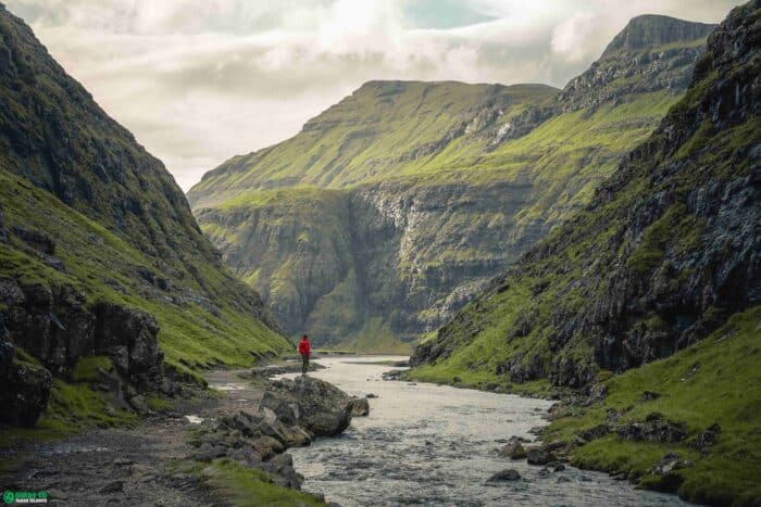 Person standing next to river
