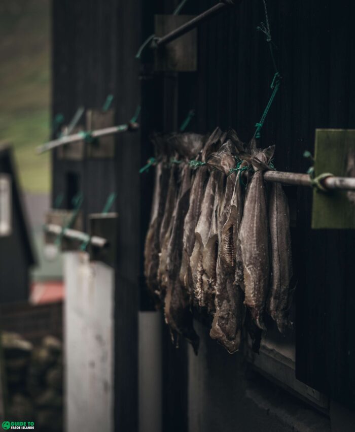 Dried fish