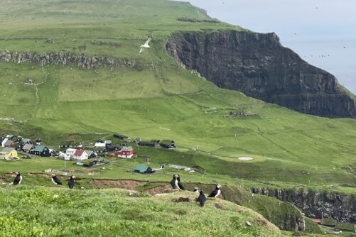 Mykines Island with puffins