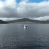 Boat sailing on lake