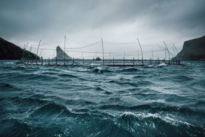 Salmon pond in the Faroe Islands