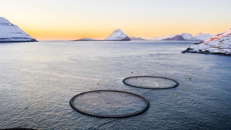 Salmon Farming in the Faroe Islands