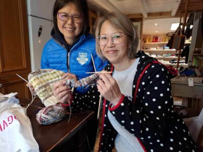 Ladies knitting