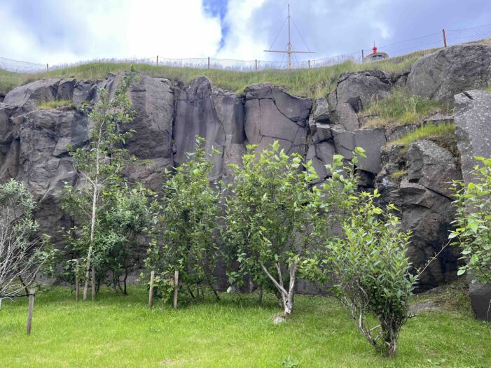 Basalt and trees in Faroe Islands