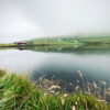 Lake surrounded by lush grass