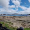 Bicycle in front of beach